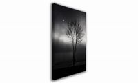 product-compare-61054760