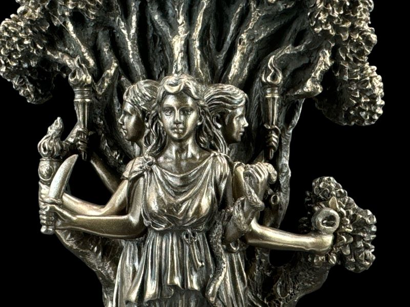 BOGINI HECATE VERONESE WU77937A1 zdjęcie 5