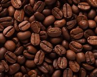 Plakat 76x60,5cm Esencja Aromatu