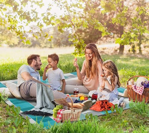 LINIE MATA PIKNIKOWA NR:9721 na Arena.pl