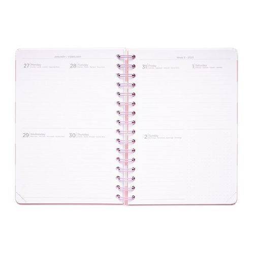 Pusheen - Planner 2019/2020 (14 x 16 cm) na Arena.pl