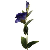 Eustoma pojedyncza niebieska 6szt