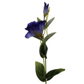 Eustoma pojedyncza niebieska 6szt