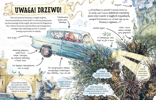 Mały potterownik. Przewodnik po serii „Harry Potter”. Ron Weasley na Arena.pl