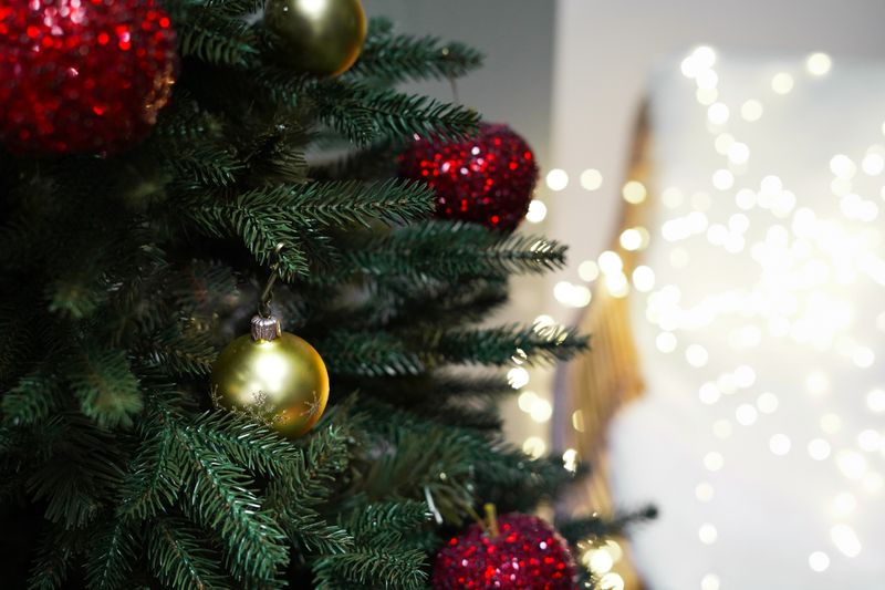 Choinka Świerk Leśny 220cm zdjęcie 4