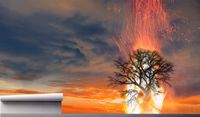 Fototapeta DRZEWO PŁONĄCE W OGNIU NIEBO 200x130