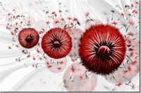 product-compare-58712999