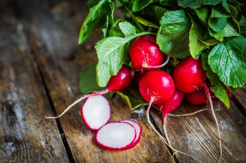 RZODKIEWKA NASIONA RZODKIEWKI CARMEN CZERWONA WCZESNA ŁAGODNA NIE PARC zdjęcie 6