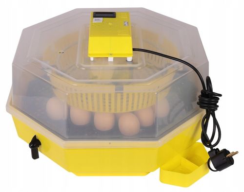 INKUBATOR CLEO 5 DTHE 60/41 JAJ WYLĘGARKA KLUJNIK TERMOMETR HIGROMETR TACA na Arena.pl