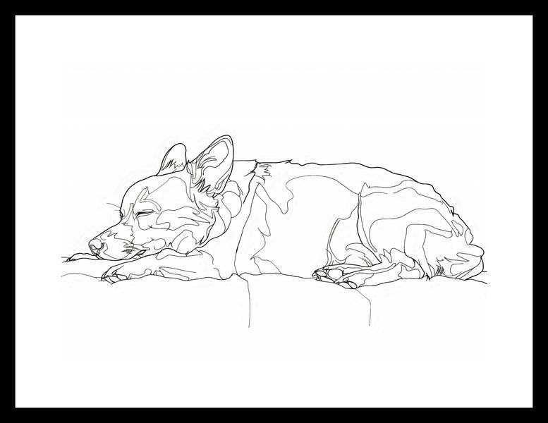 Plakat 29,7x21cm Śpiący Psiak zdjęcie 3