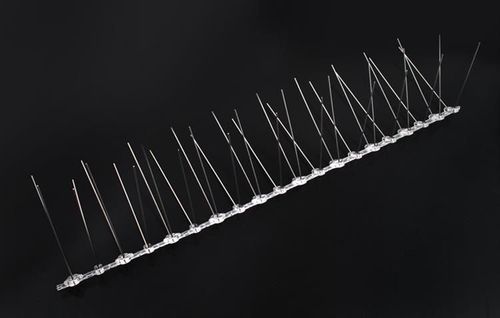 Kolce na ptaki na Arena.pl