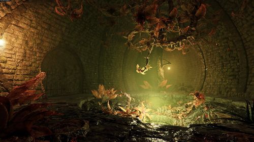 Warhammer Vermintide 2 PL Klucz cd-key Steam na Arena.pl
