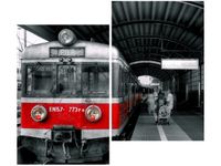 80X70CM PERONIE DUO OBRAZ