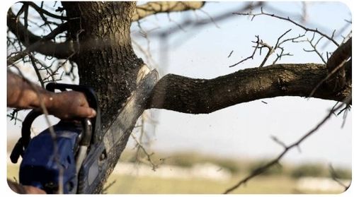 Olej SMAROWANIA 5L OLEJARKI PILARKI KONSERWACJI łańcucha PROWADNICY PIŁY na Arena.pl