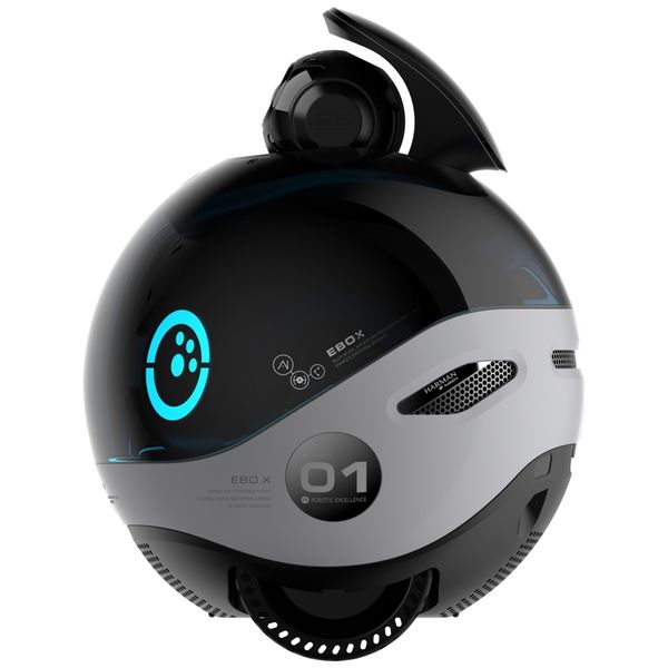 inteligentny robot towarzyszący enabot   ebo x zdjęcie 4