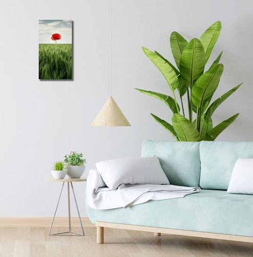 Obraz 20x40cm Samotny Mak na Polu na Arena.pl