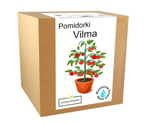 ZESTAW DO UPRAWY POMIDOR VILMA POMIDORY KOKTAJLOWE NASIONA 10x WIELOLETNIA na Arena.pl