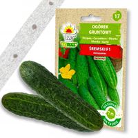 OGÓREK ŚREMSKI NA TAŚMIE TAŚMA NASIENNA 7M NASIONA PLENNY ODPORNY NA Z