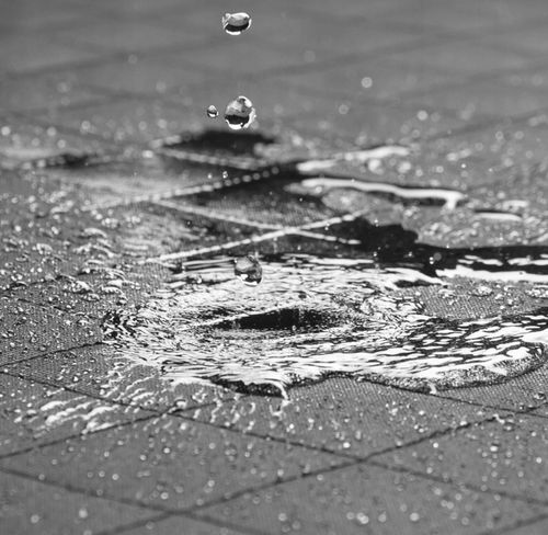 MATA dla psa do samochodu POKROWIEC + SMYCZ na Arena.pl