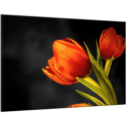 Obraz Tryptyk 120X80 Tulipany na Arena.pl
