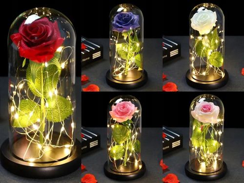 WIECZNA RÓŻA NEW MODEL: NR:8656 na Arena.pl