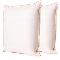2x PODUSZKA JASIEK 40X40 PUCHOWA NATURALNA Z PUCHU GĘSIEGO PRODUKT POLSKI