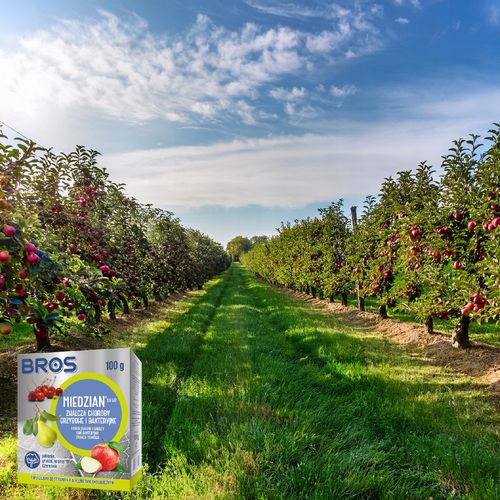 BROS - Miedzian 50WP 100g na Arena.pl