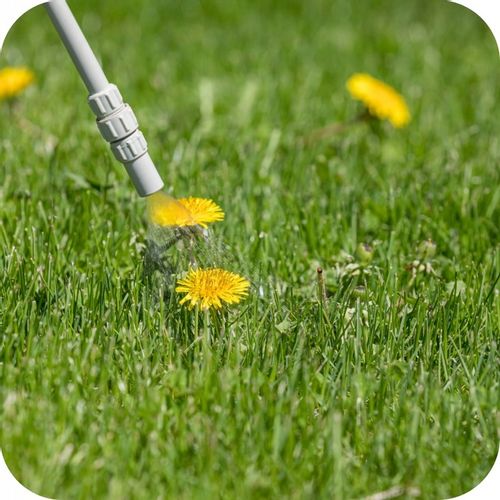 2x ROUNDUP 360 PLUS GLIFOSAT RANDAP ŚRODEK CHWASTY CHWASTOBÓJCZY 1L na Arena.pl