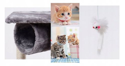 Drapak drzewko wieża dla kota duży domek budka legowisko słupek mysz walec na Arena.pl