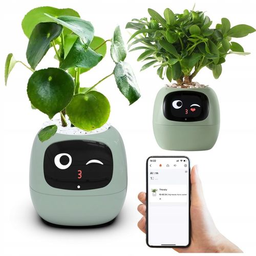 Inteligentna doniczka IVY SMART PLANTER osłonka na donicę PLANTSIO ZIELONA na Arena.pl
