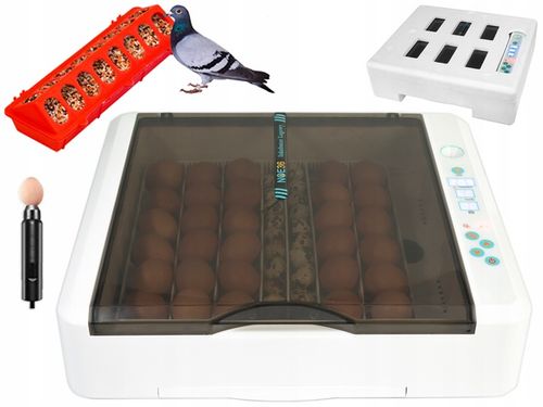 Inkubator Automatyczny NOE36 dla GĘSI kaczek INDYKÓW gołębi KLUJNIK AUTOMAT na Arena.pl