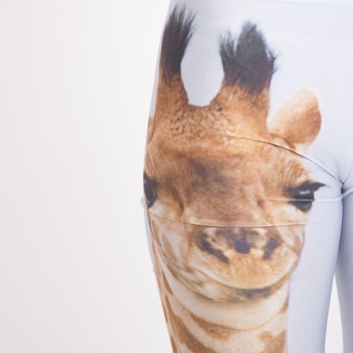 LEGGINSY GIRAFFE na Arena.pl