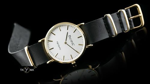 PACIFIC A268 (zy554b) na Arena.pl