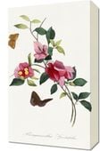 Obraz 30x50cm Bugenwilla, Paul Gervais Vintage do Salonu