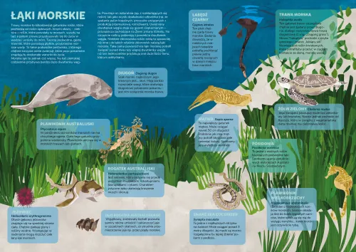 Pustynie i Oceany na Arena.pl