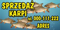 BANER 100x200 cm SPRZEDAŻ KARPI RYBY ŚWIĄTECZNE