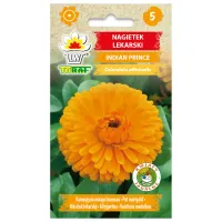 Nagietek lekarski INDIAN PRINCE 1g