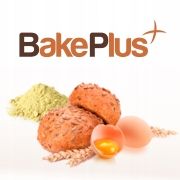 Białko w proszku - Albumina a'1kg zdjęcie 3