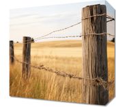 Obraz 30x30cm Płot na Polu