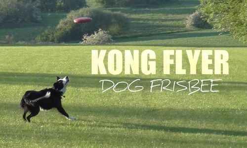 Kong Flyer czerwony- psie frisbee na Arena.pl