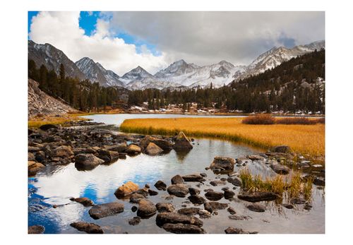 Fototapeta - Mountain stream 400x309 na Arena.pl