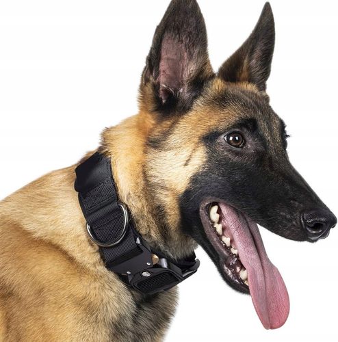 TAKTYCZNA OBROŻA QR DLA PSA MOCNA REGULOWANA POLICYJNA MOCNA 40-55cm L 4cm na Arena.pl