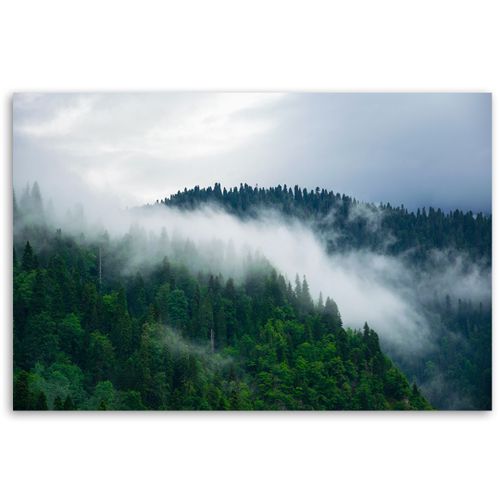 Emaga Obraz na płótnie, Las we mgle - 60x40 na Arena.pl