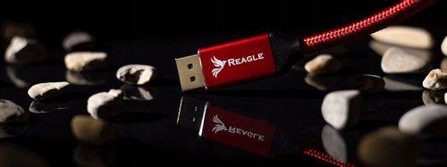 REAGLE Kabel przewód DisplayPort 1.4 DP 4K 165Hz 2k 240Hz 1,5M Display Port na Arena.pl