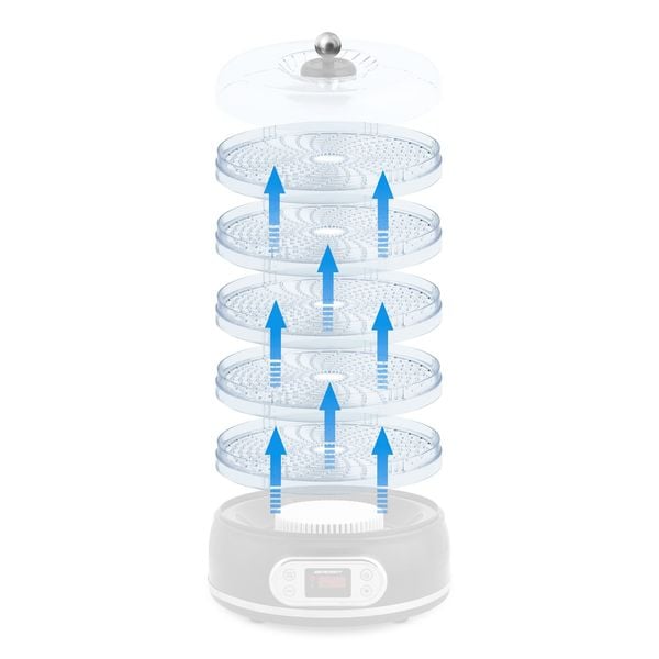 Tacka do suszarki do grzybów i owoców BD-691 zdjęcie 4