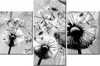 60 90CM OBRAZ 3 ELEM BIAŁE DMUCHAWCE SZARYM TLE ŚCIENNY DRUK PŁÓTNO