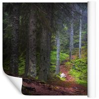 Fototapeta Las Ścieżka ZIELEŃ do Sypialni 405x270