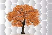 product-compare-62140567