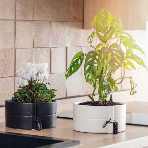 DONICZKA OSŁONKA DONICA CERAMICZNA KOLORY 18CM na Arena.pl