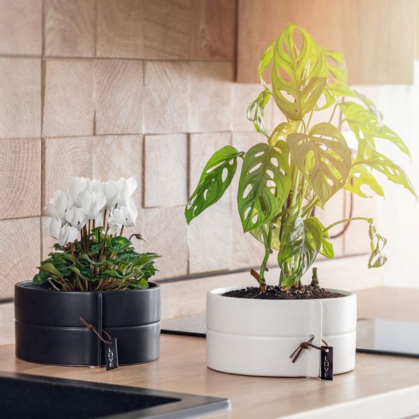 DONICZKA OSŁONKA DONICA CERAMICZNA KOLORY 18CM zdjęcie 9